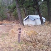 Review photo of Spring Creek Campground by Dexter I., November 22, 2018
