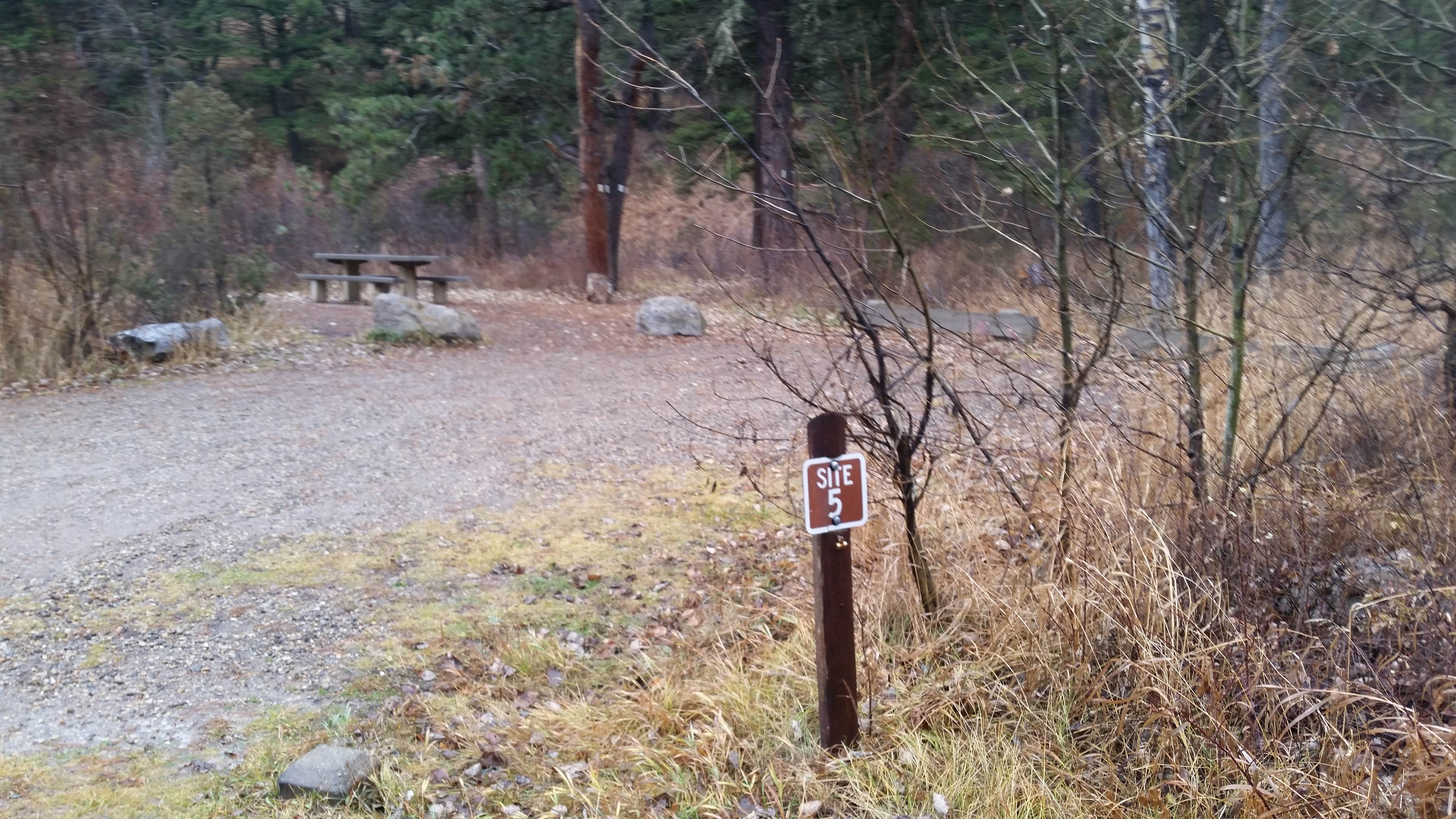 Camper submitted image from Spring Creek Campground - 2