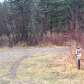 Review photo of Spring Creek Campground by Dexter I., November 22, 2018