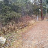 Review photo of Spring Creek Campground by Dexter I., November 22, 2018