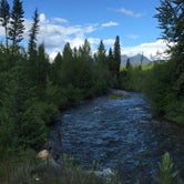 Review photo of Bowman Lake Campground — Glacier National Park by Stephanie Z., August 23, 2016