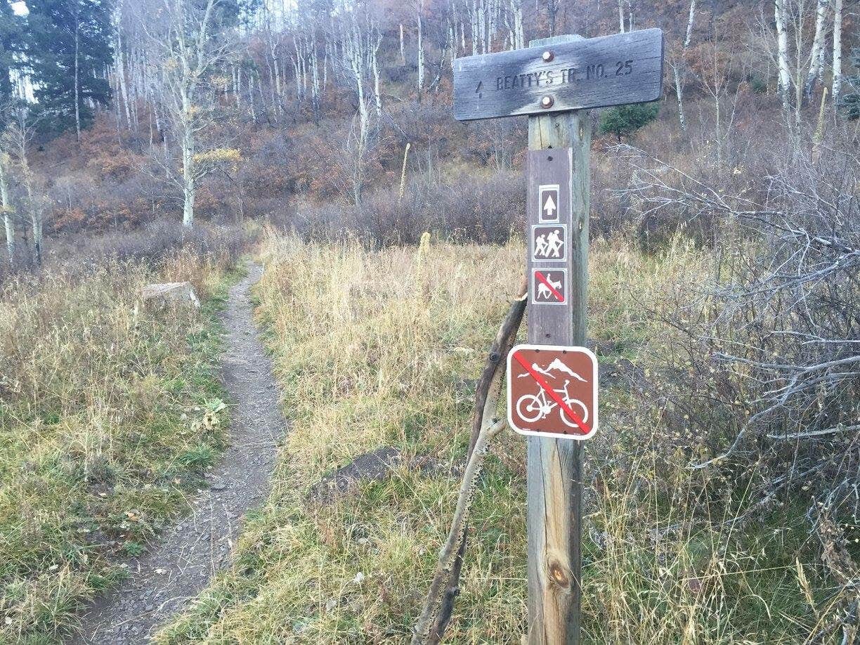 Signs & Maps
