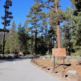 Review photo of Heart Bar Campground by Aaron S., November 22, 2018