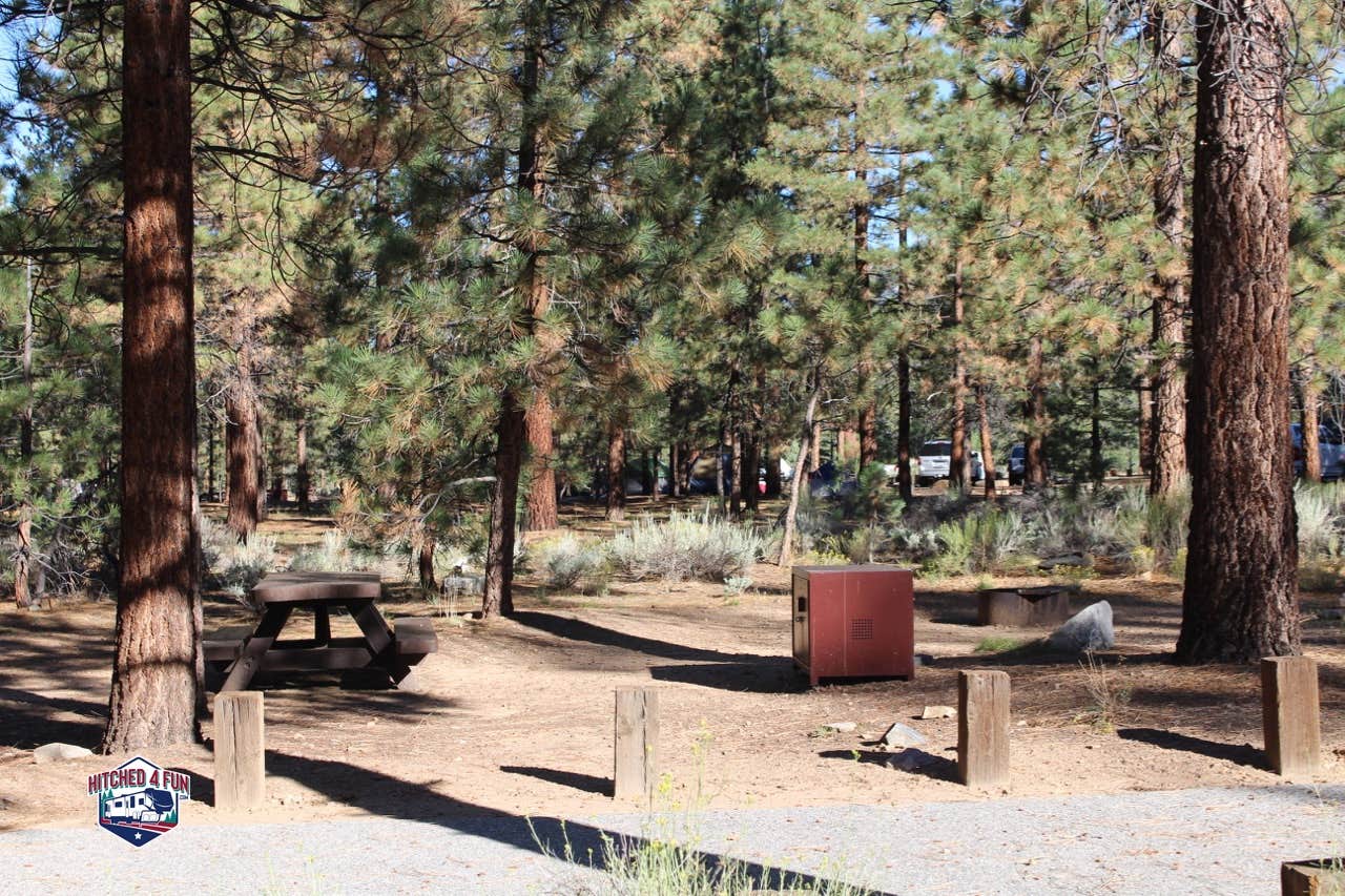 Camping near Juniper Springs Group Campground: Heart Bar Campground, Big Bear City, California