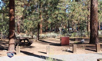 Camping near Green Spot Equestrian Campground: Heart Bar Campground, Big Bear City, California
