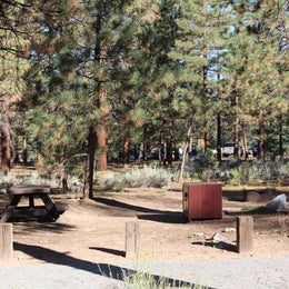 Public Campgrounds: Heart Bar Campground