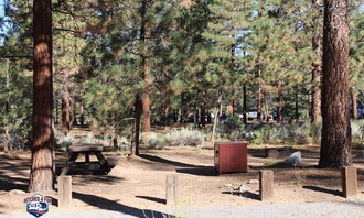 Camping near Skyline Group Campground: Heart Bar Campground, Big Bear City, California