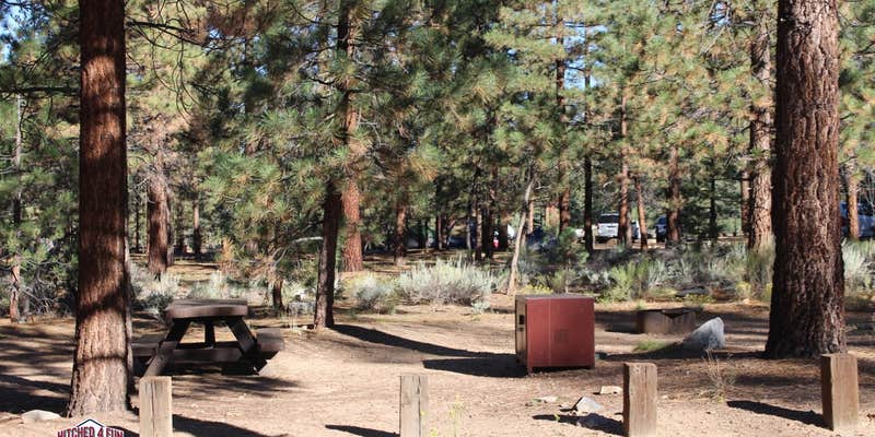 Camper submitted image from Heart Bar Campground