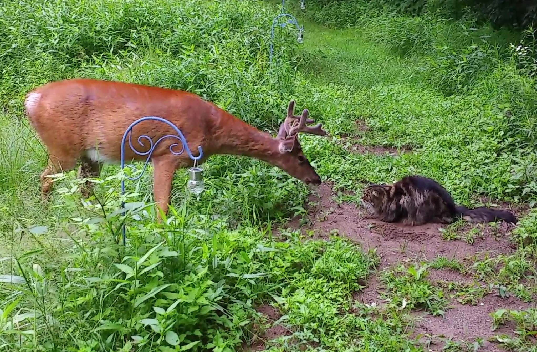 Camper-submitted photo at Upper Esopus Creekside Camp near Gilboa, NY