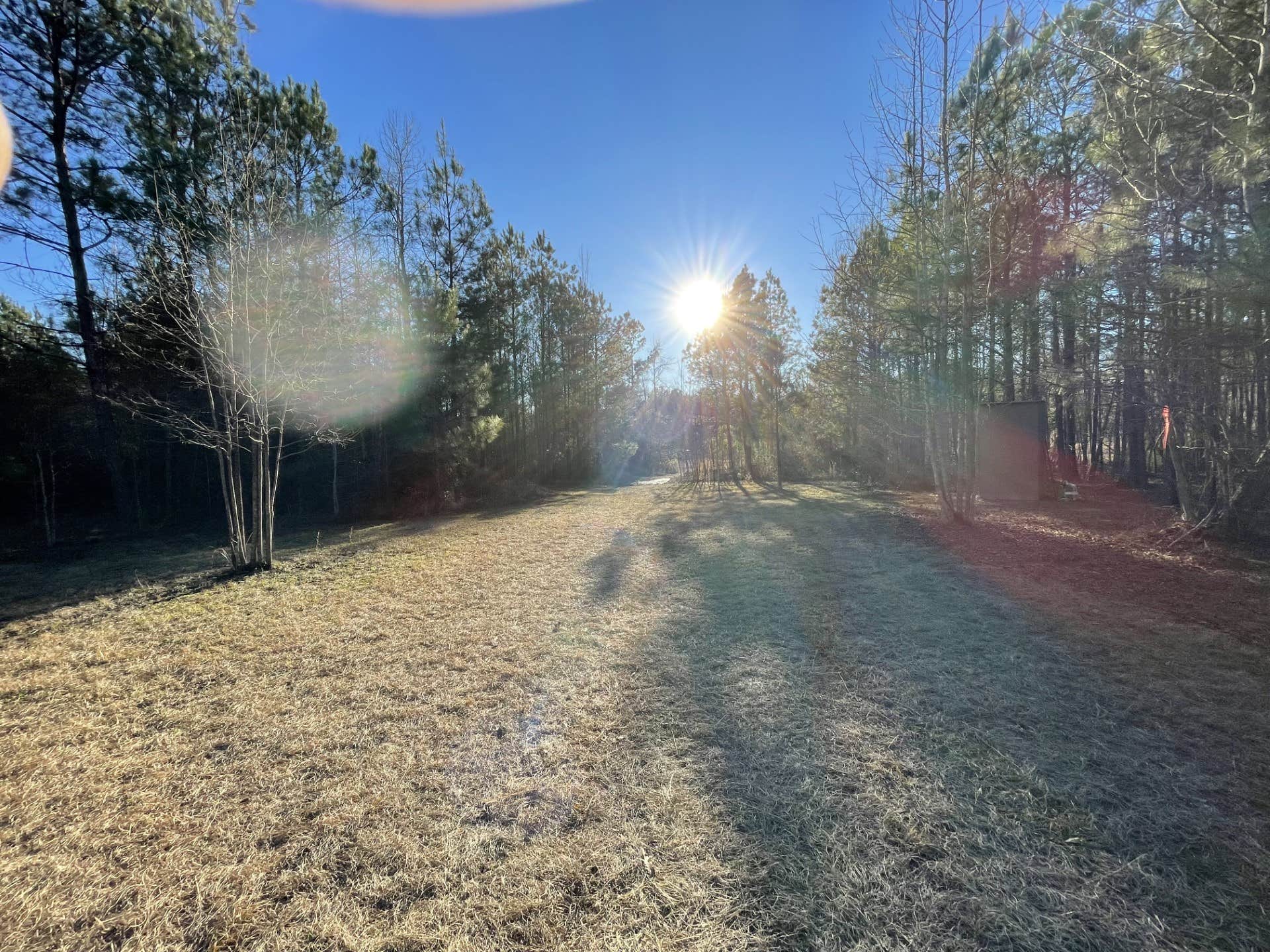 Camper-submitted photo at Pine and Oak Campsite near Waverly Hall, GA
