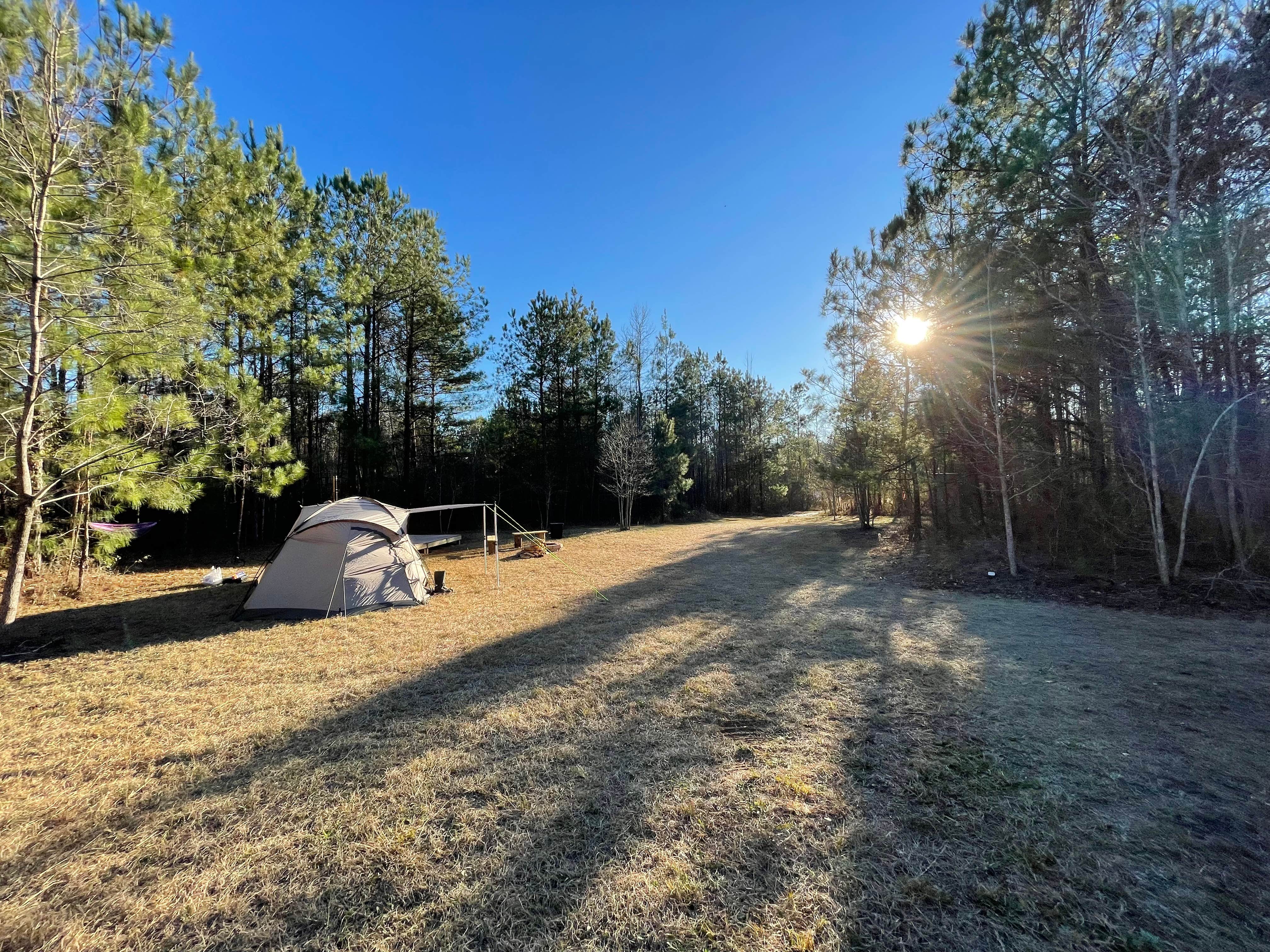 William S.'s photo at Pine and Oak Campsite near Tuskegee, AL
