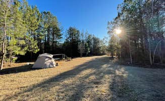William S.'s photo at Pine and Oak Campsite near Walter F. George Lake