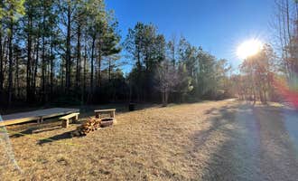 Camping near Bama Bison Farm: Pine and Oak Campsite, Omaha, Alabama