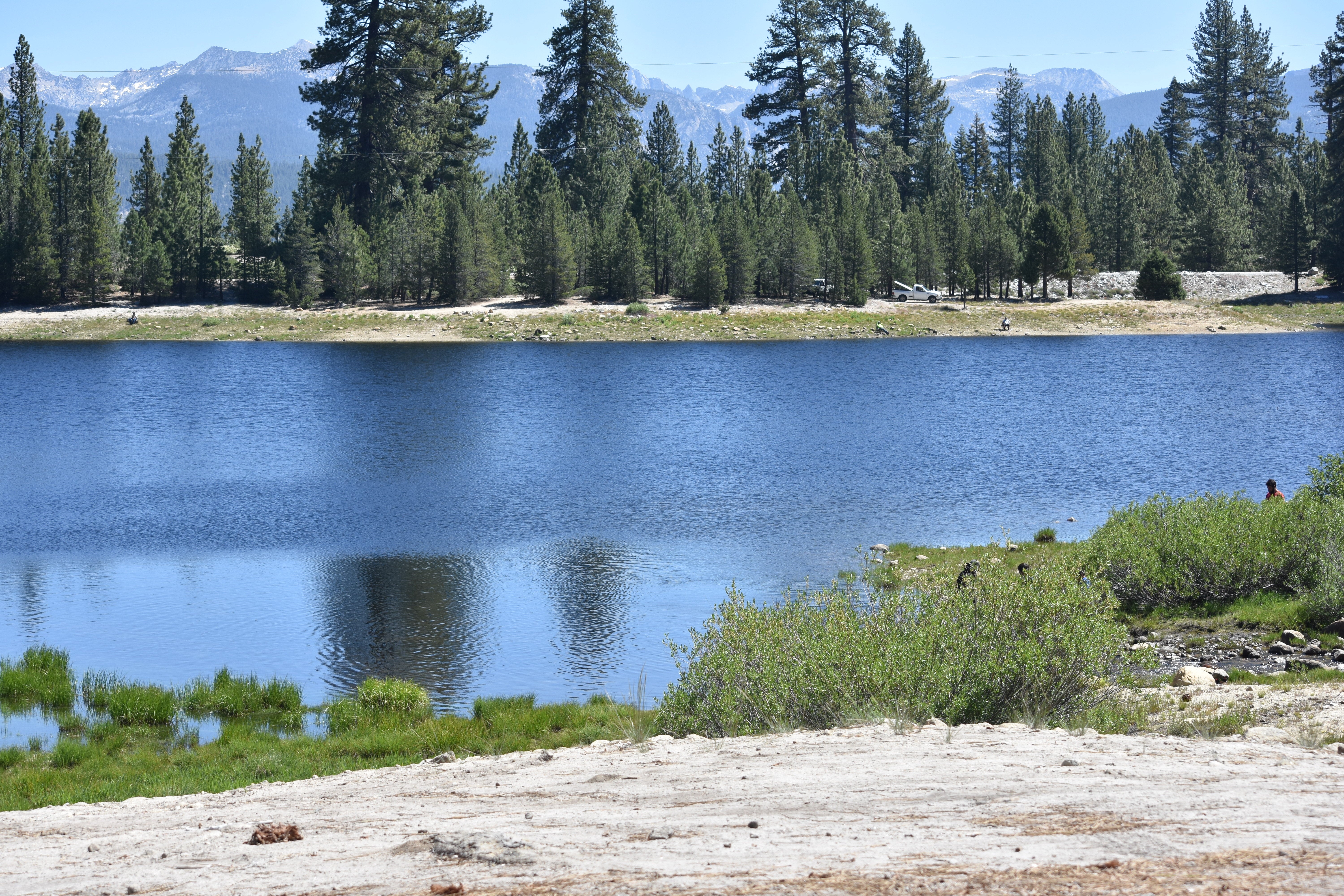 Camper submitted image from Portal Forebay Campground - 4