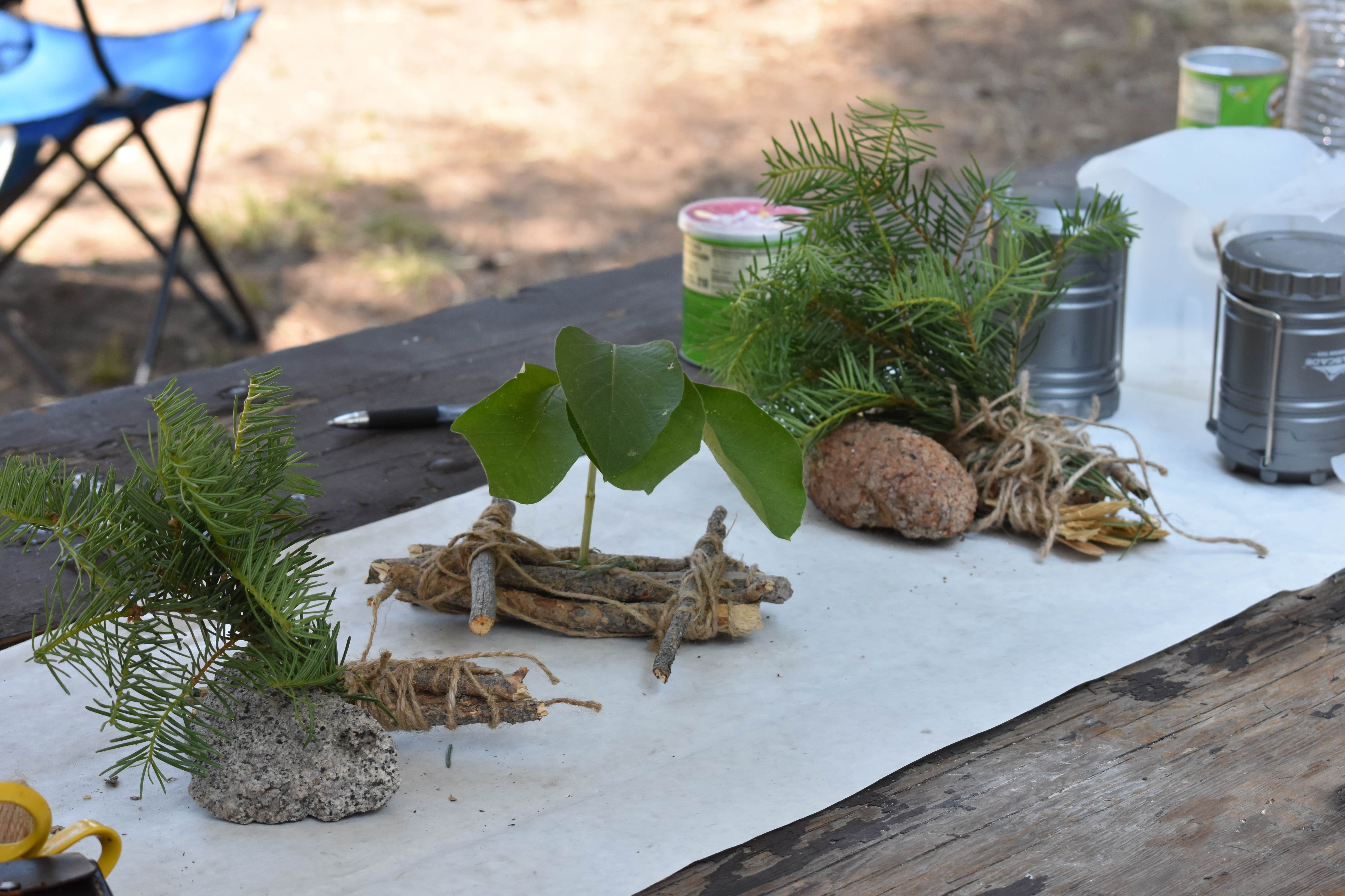 Camping near Thousand Island Lake Backcountry: Sample Meadow Campground, Lakeshore, California