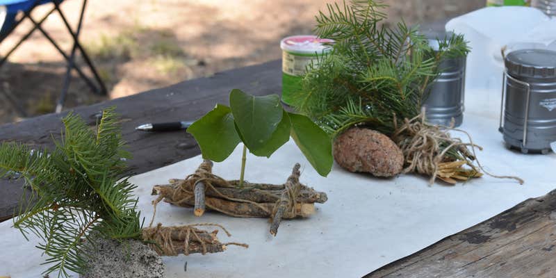 Camper submitted image from Sample Meadow Campground