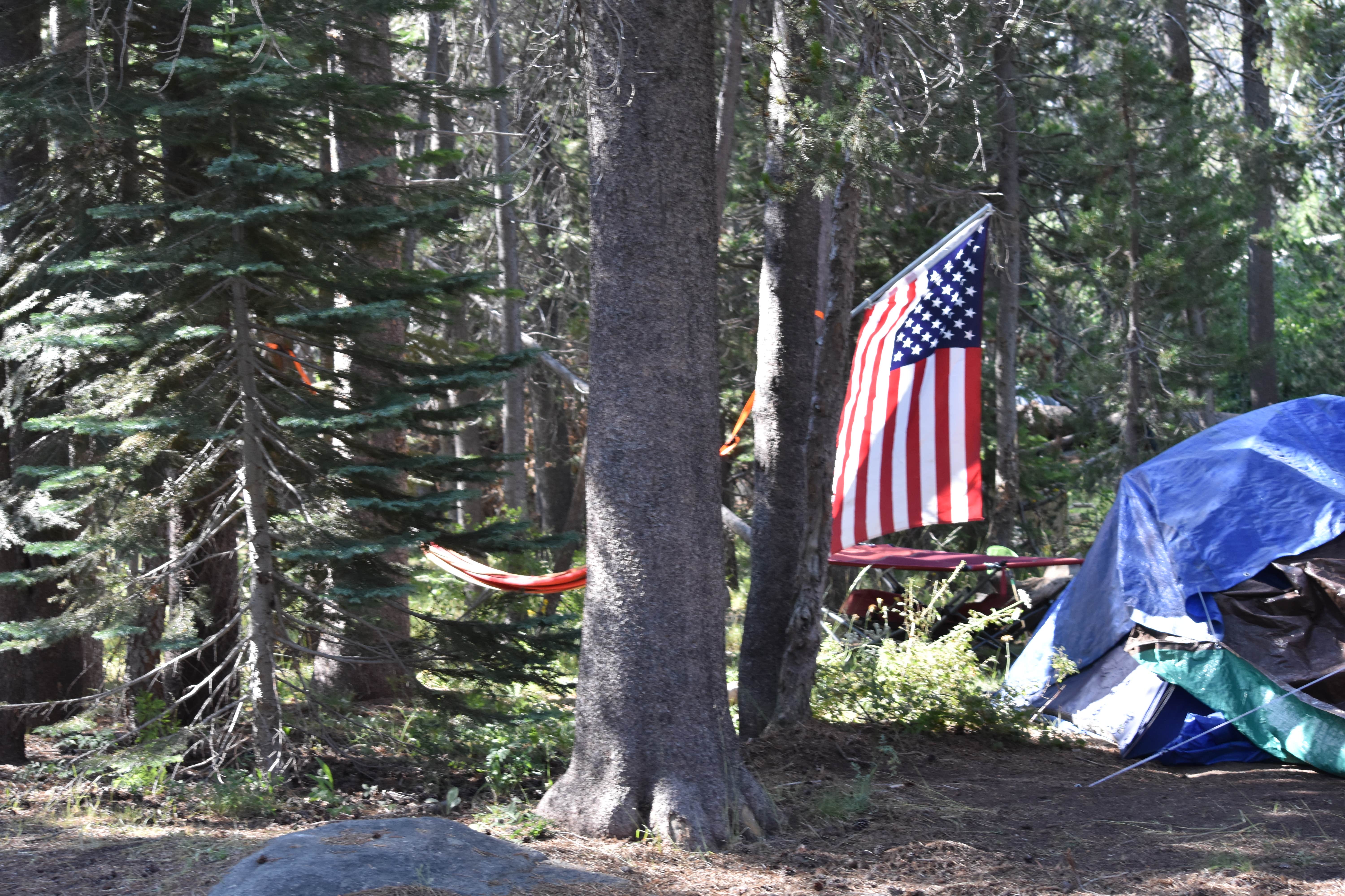 Regina P.'s photo at Sample Meadow Campground near Big Creek, CA