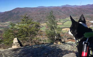 Bruno G.'s photo of camping with pets at Black Rock Mountain State Park Campground near Tallulah Falls, GA