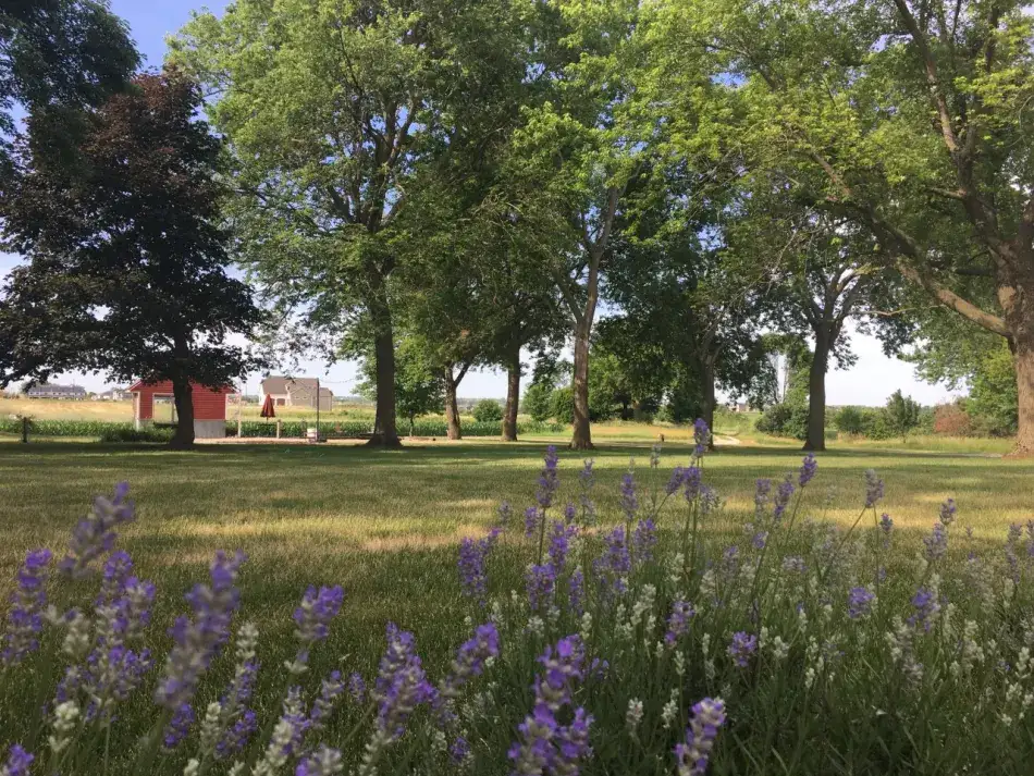 Camper-submitted photo at Greenhouse Camping near Huxley, IA