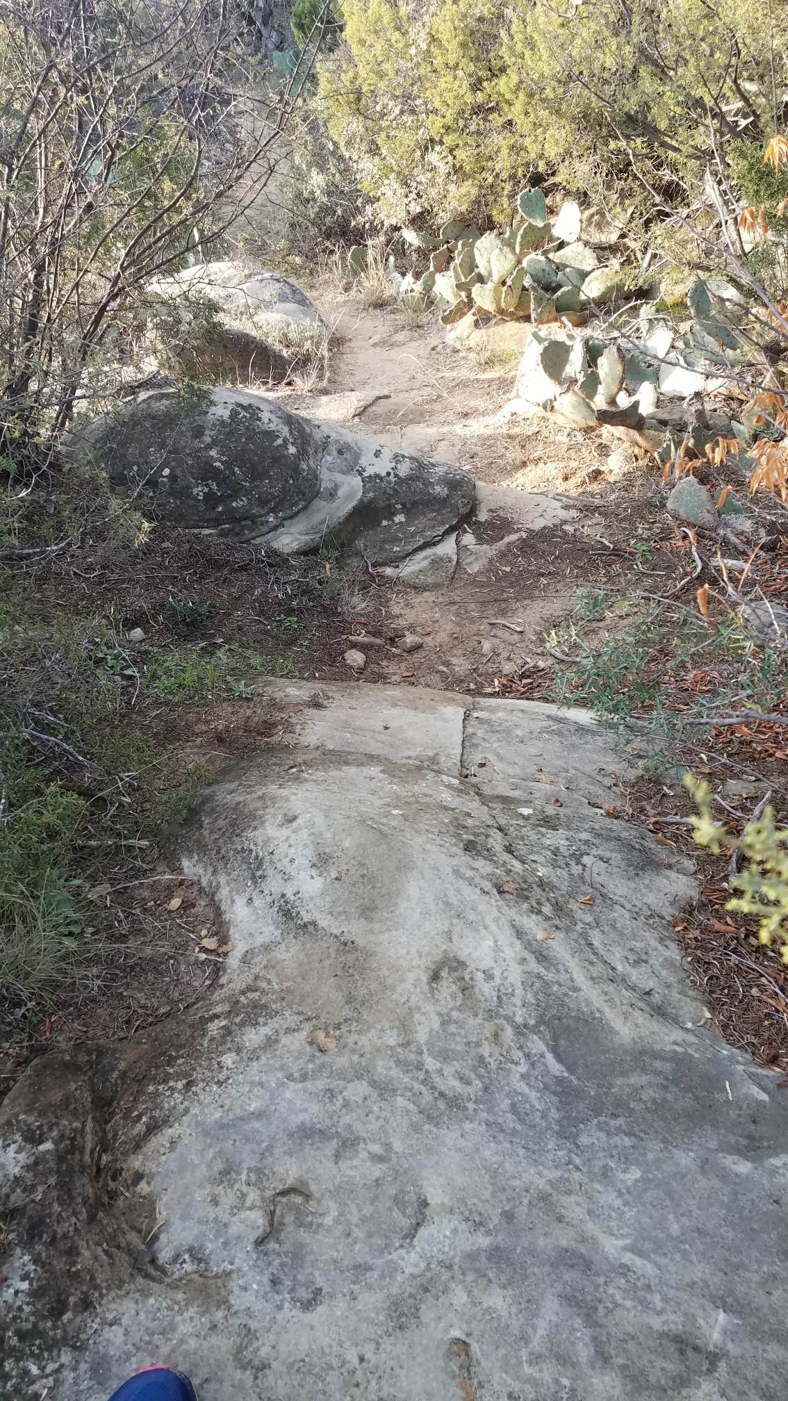 Camper-submitted photo at Lake Colorado City State Park Campground near Robert Lee, TX