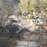 Review photo of Lake Colorado City State Park Campground by Vanessa M., November 22, 2018