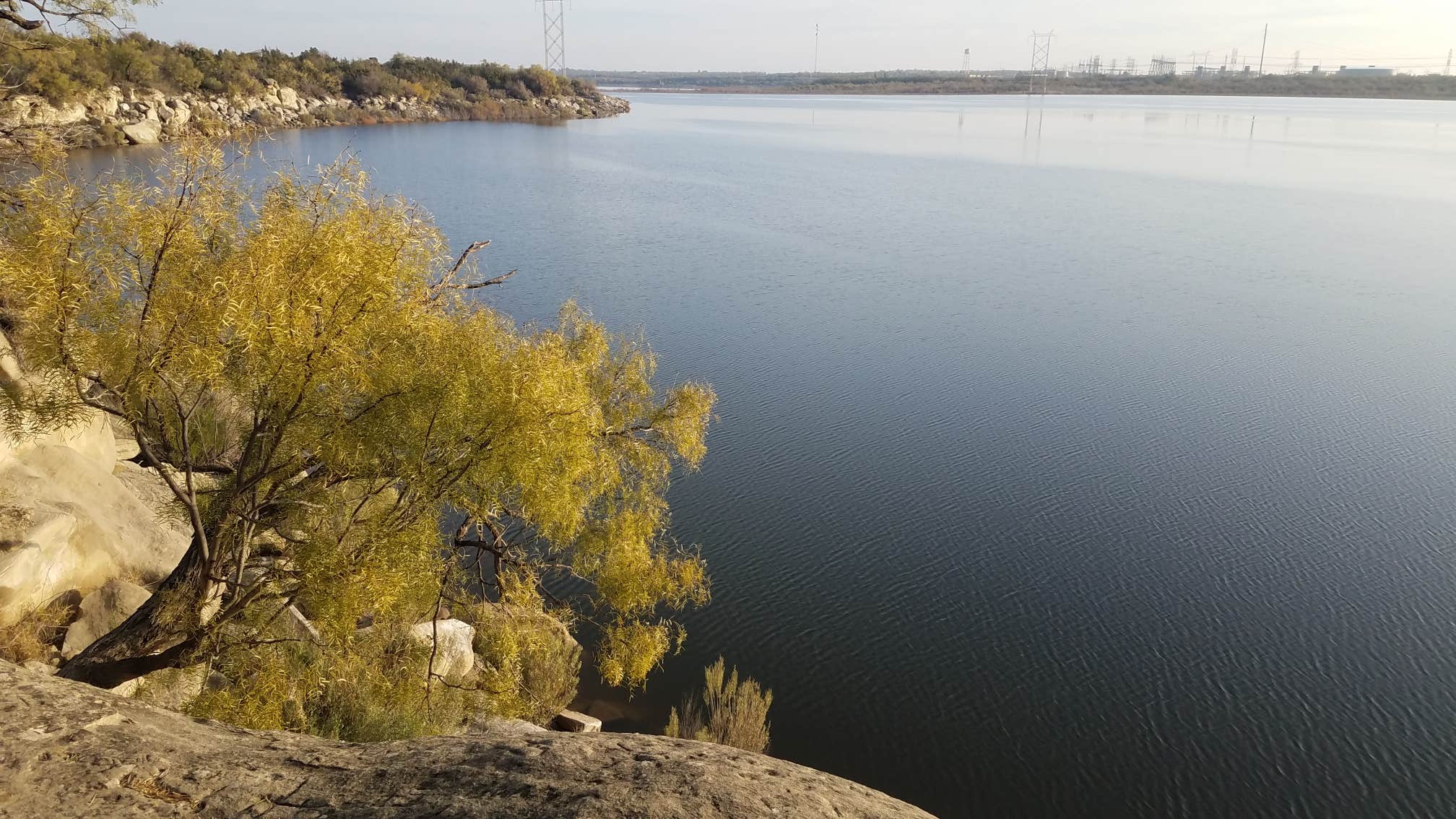 Camper submitted image from Lake Colorado City State Park Campground - 5