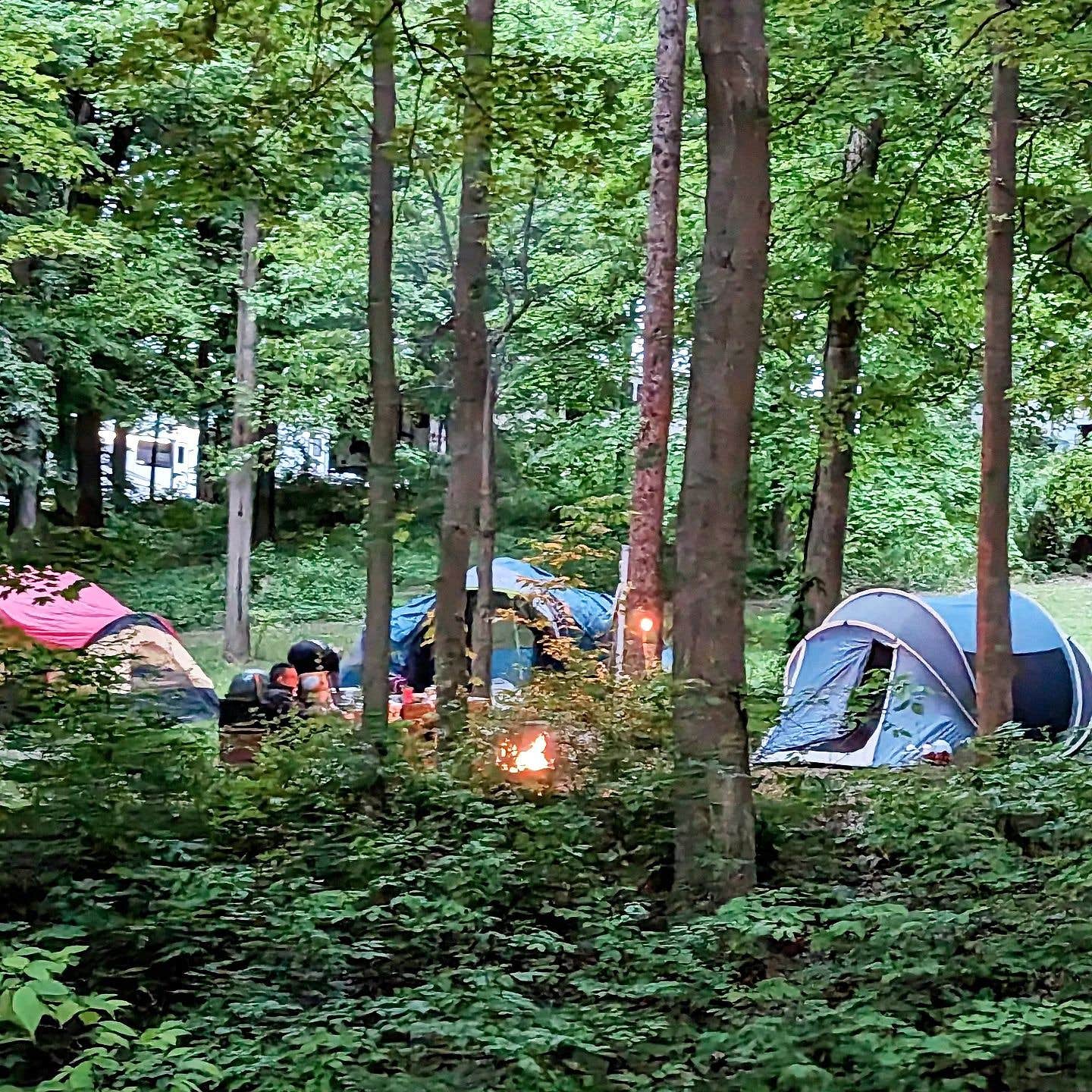 Stasia P.'s photo at Adventure Trails near Celina, OH