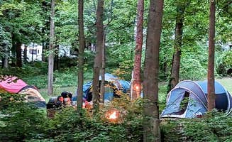 Stasia P.'s photo at Adventure Trails near Clarence J. Brown Dam and Reservoir