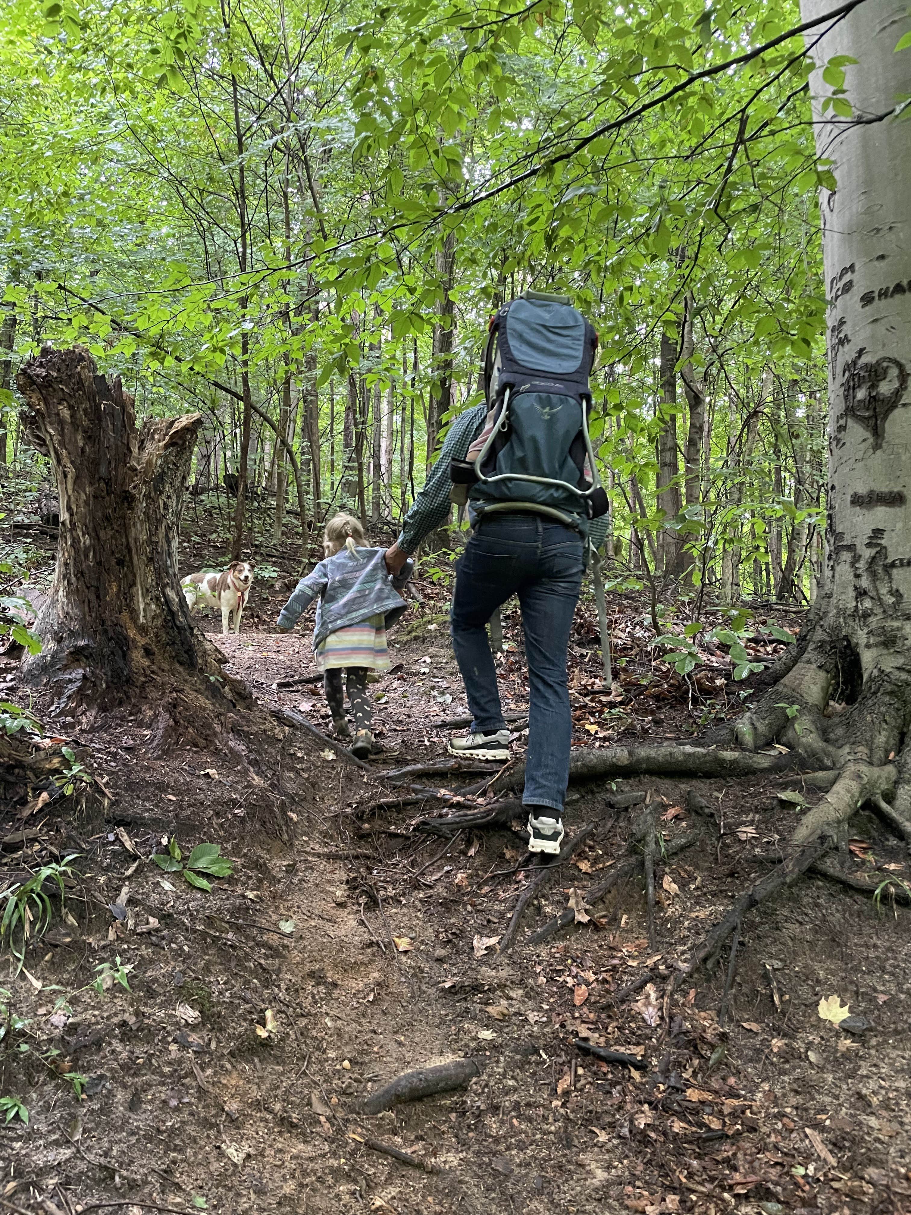 Sam M.'s photo of camping with pets at Forest Haven near Stevensville, MI