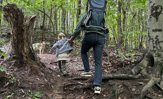 Sam M.'s photo of camping with pets at Forest Haven near Portage, MI