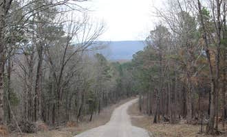 Camping near Horsehead Lake Recreation Area: Forest Service Rd 82 Dispersed, St. Paul, Arkansas