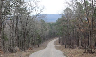 Camping near Turner Bend Outfitter: Forest Service Rd 82 Dispersed, St. Paul, Arkansas