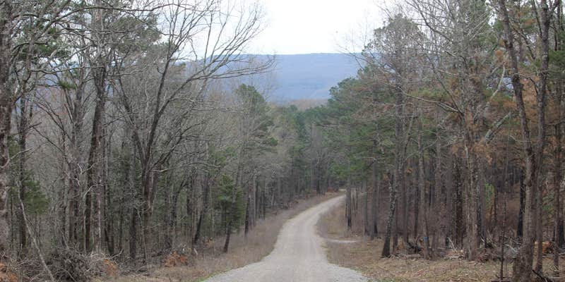 Camper submitted image from Forest Service Rd 82 Dispersed