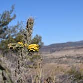 Review photo of Davis Mountains State Park by Jon D., February 13, 2024