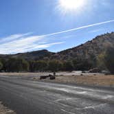 Review photo of Davis Mountains State Park Campground by Jon D., February 13, 2024