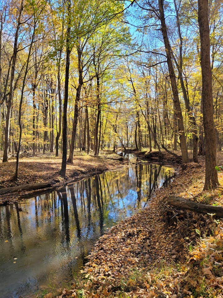 Camper submitted image from Hillbilly Acres Campground - 1