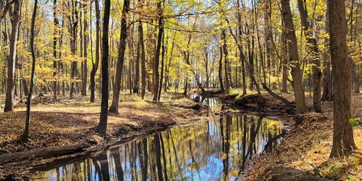 Camper submitted image from Hillbilly Acres Campground