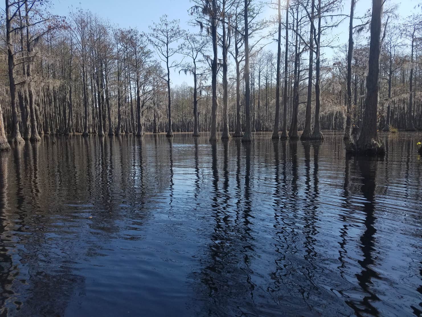 L. Smith State Park Camping The Dyrt