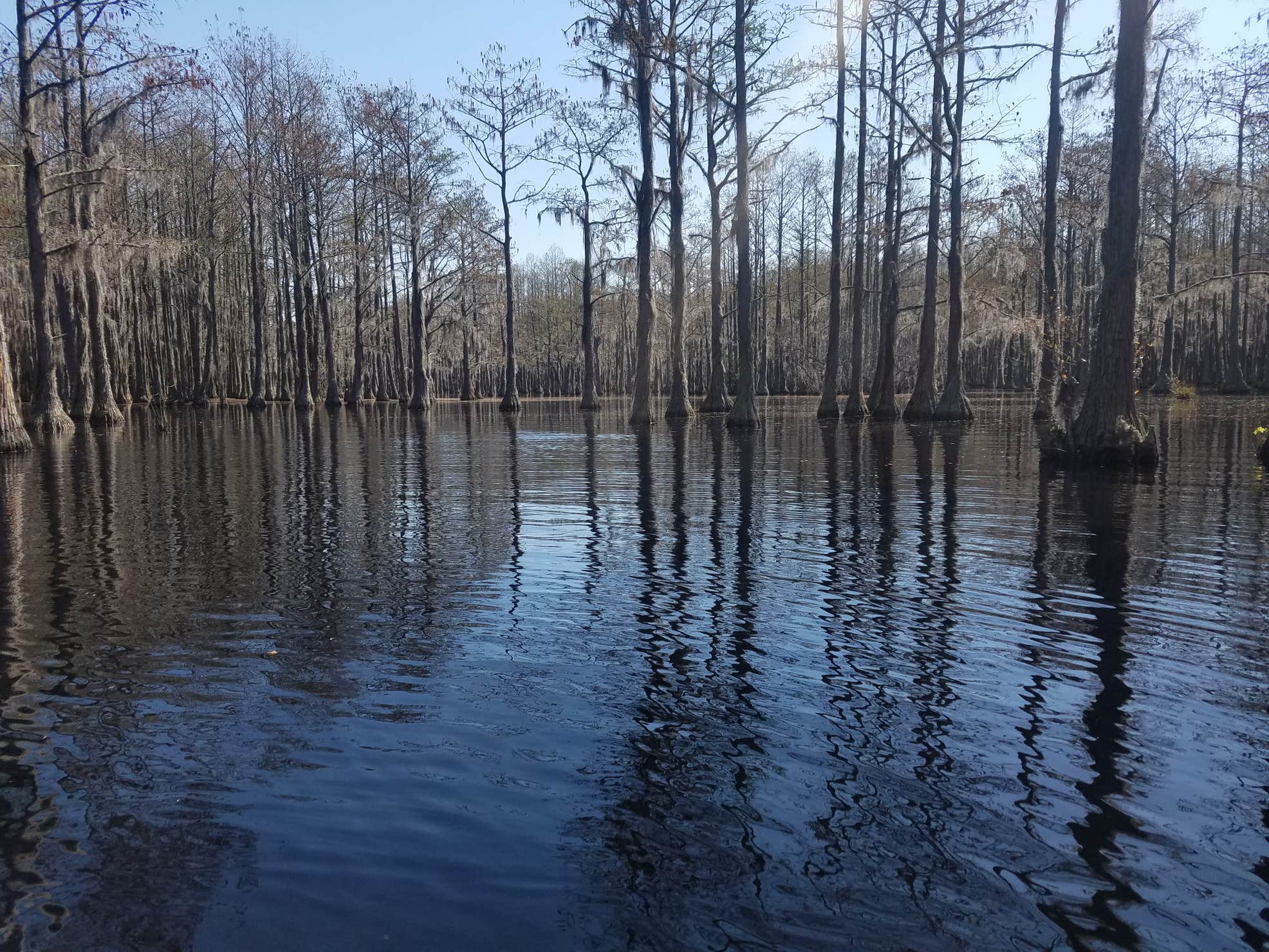 L. Smith State Park Camping The Dyrt