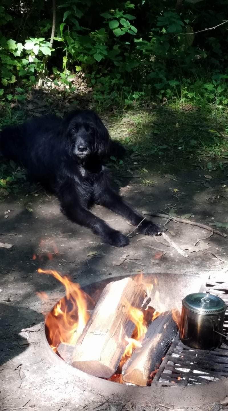 Camper-submitted photo at New Glarus State Park Campground near Lake Mills, WI