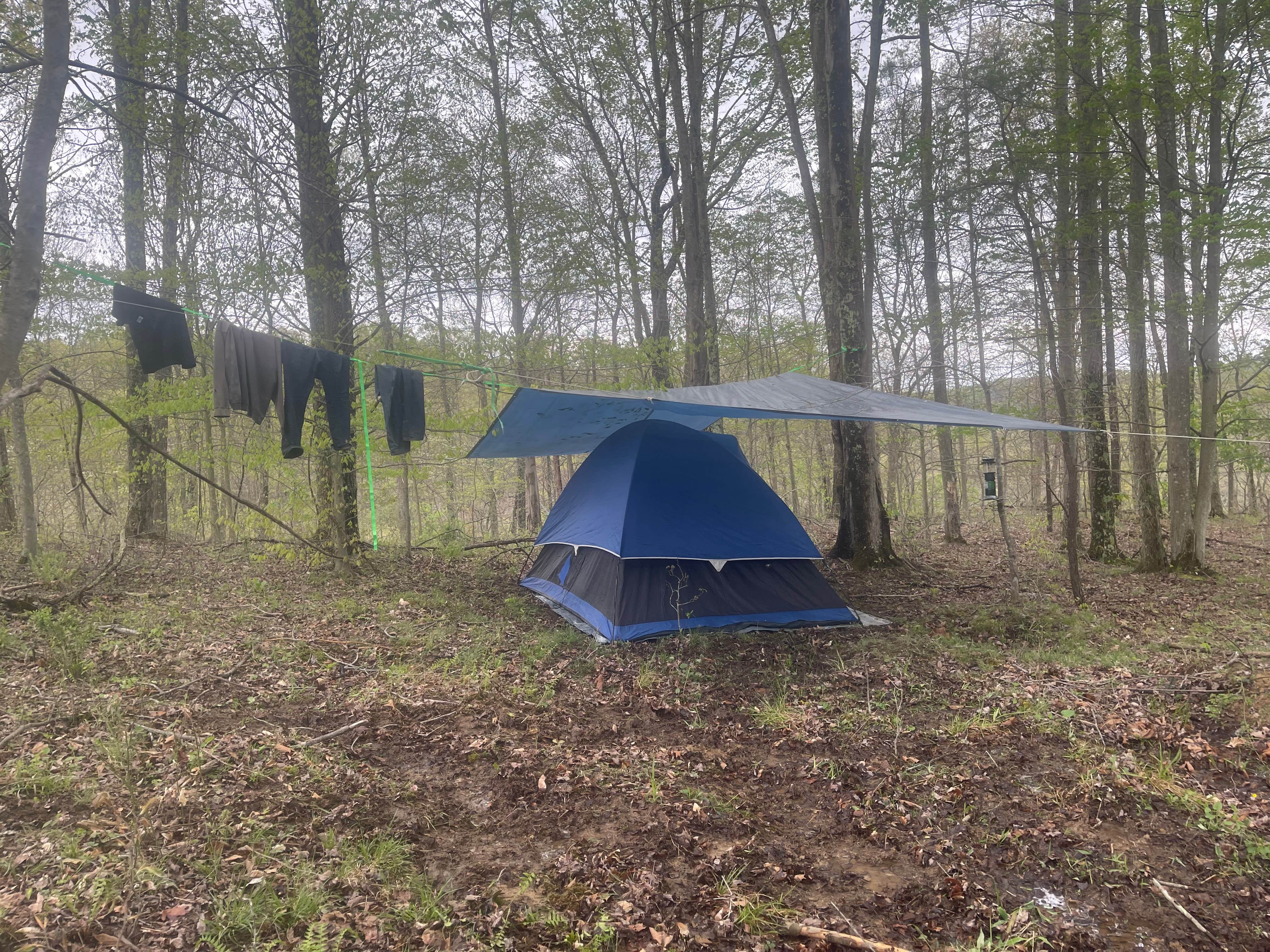 Cassandra R.'s photo at Backwoods Campground & Winery near Waverly, WV