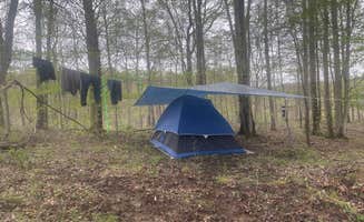 Cassandra R.'s photo at Backwoods Campground & Winery near Newport, OH