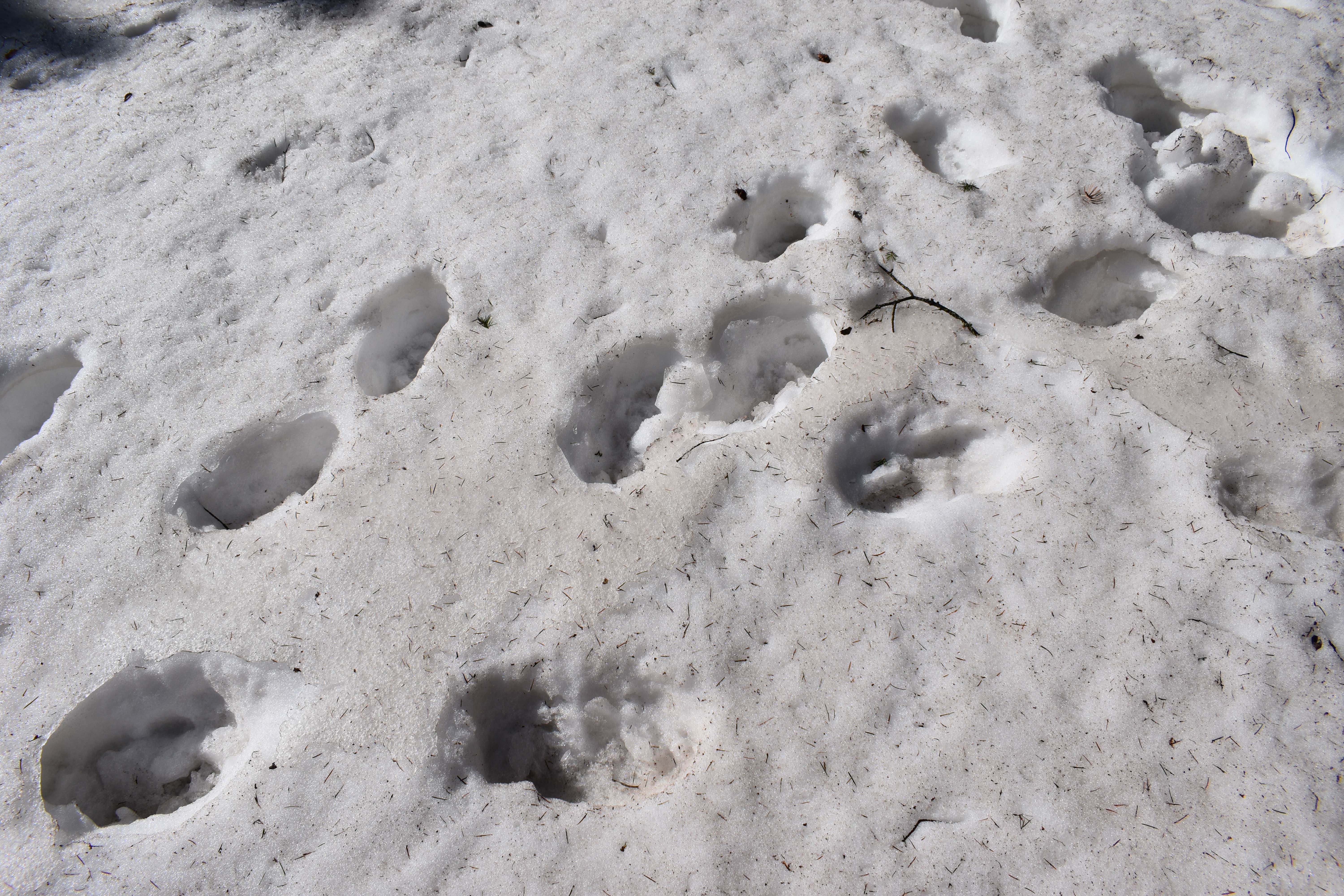 Camper-submitted photo at Upper Karr Canyon Campground near Sunspot, NM