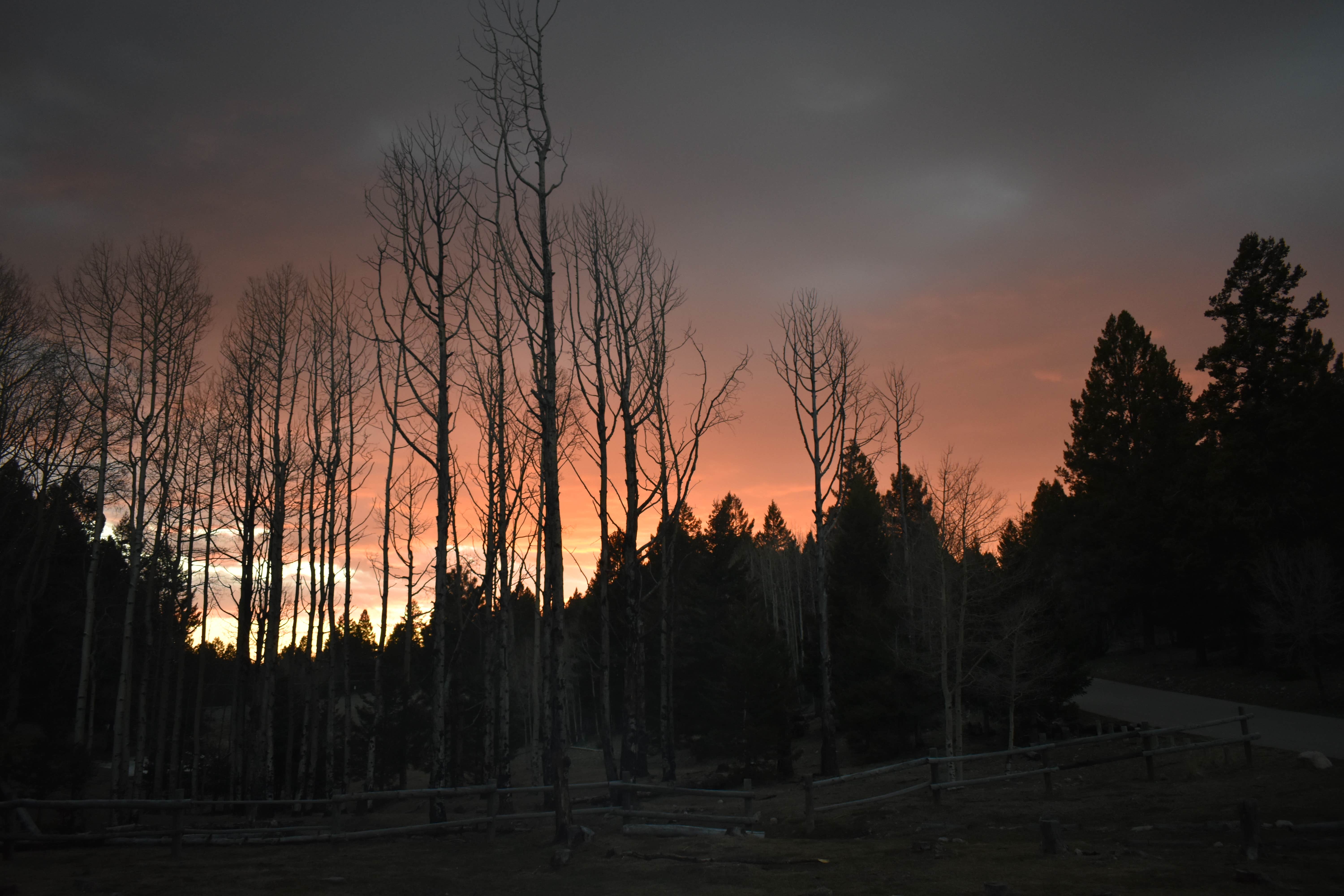 Camper-submitted photo at Upper Karr Canyon Campground near Sunspot, NM