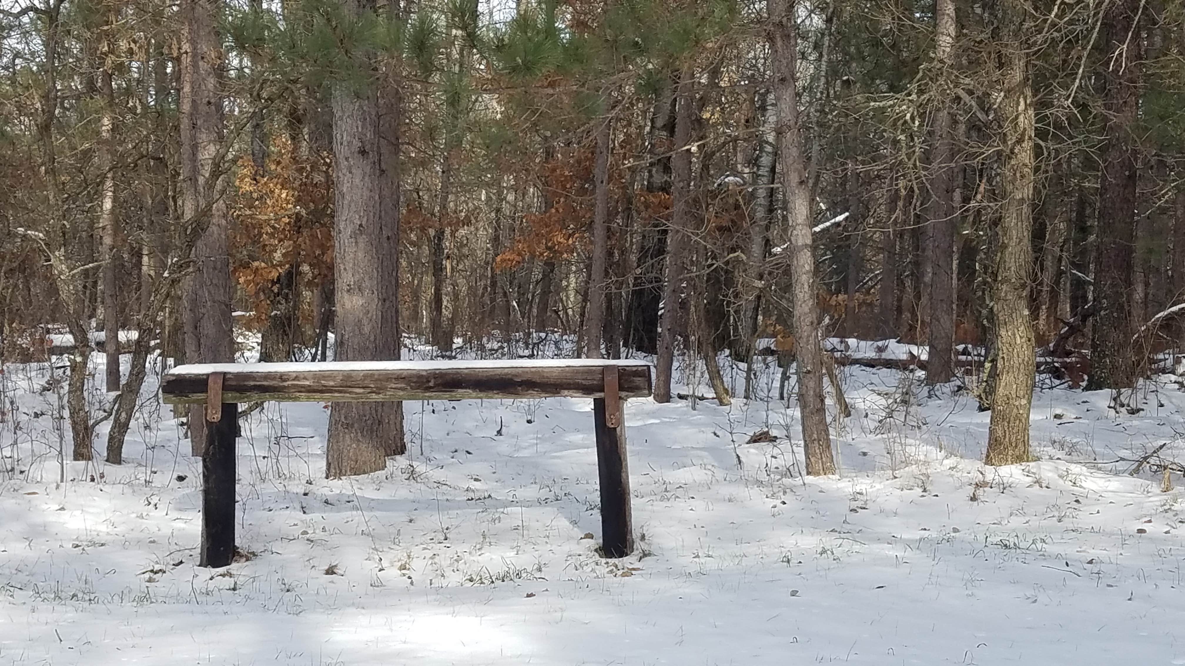 Camper submitted image from Shell City Equestrian Campground - 2