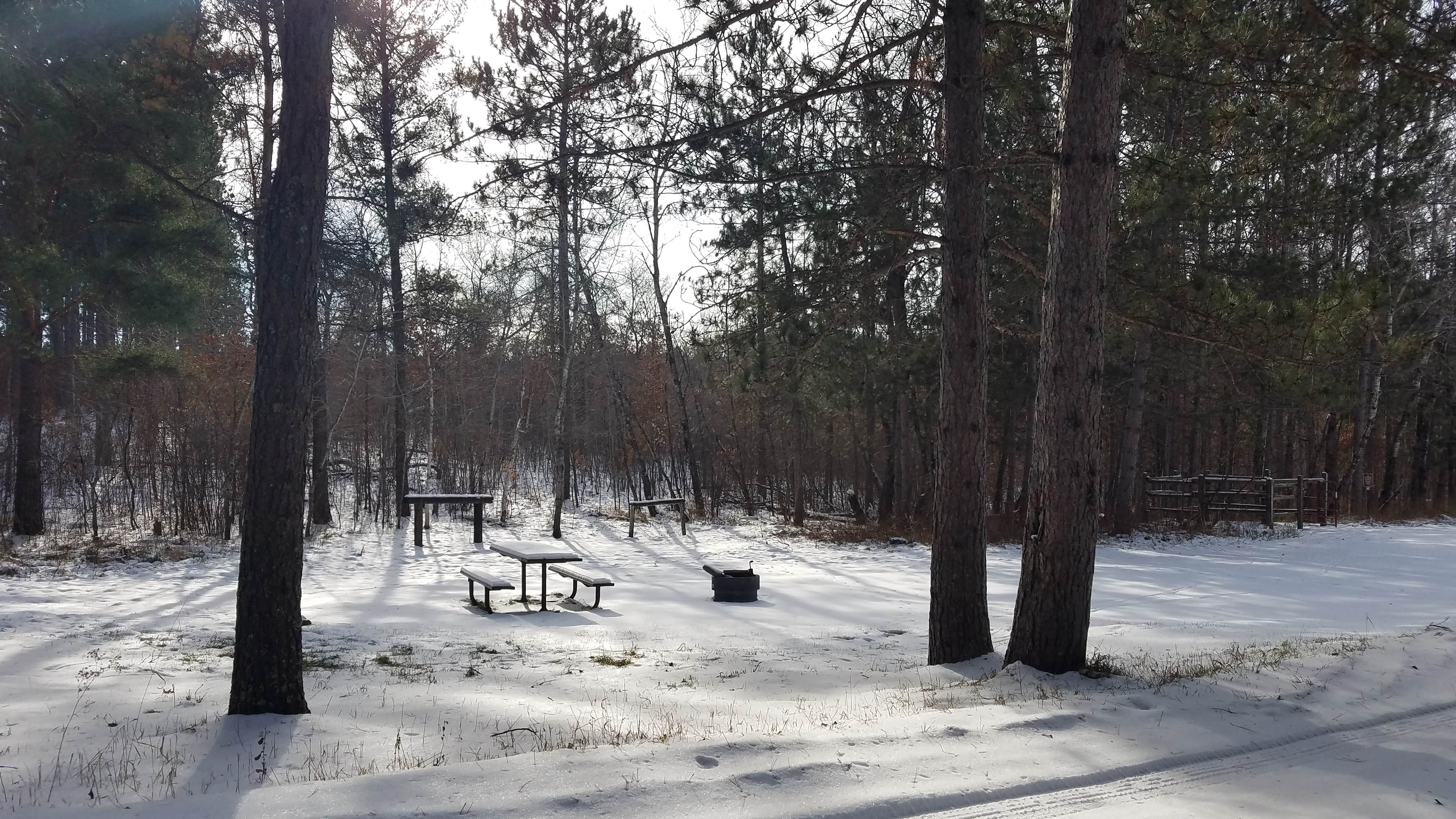Camper-submitted photo at Shell City Equestrian Campground near Wadena, MN