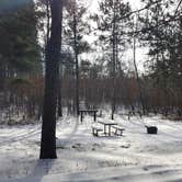 Review photo of Shell City Equestrian Campground by Amy G., November 27, 2018