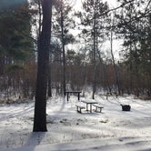 Review photo of Shell City Equestrian Campground by Amy G., November 27, 2018