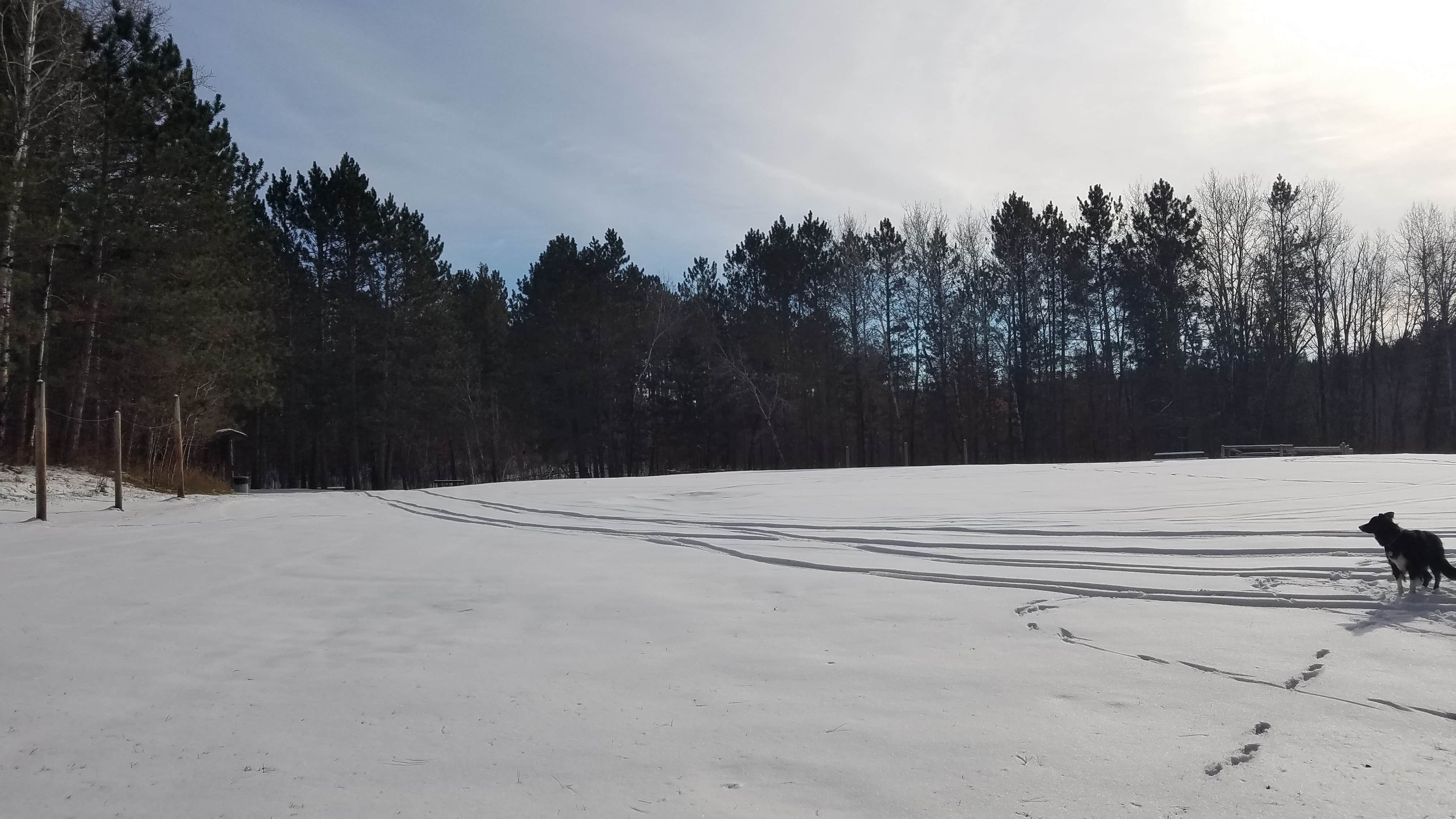 Amy G.'s photo of camping with pets at Shell City Equestrian Campground near Akeley, MN