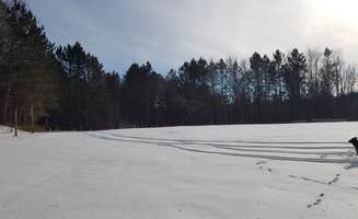 Amy G.'s photo of camping with pets at Shell City Equestrian Campground near Nisswa, MN